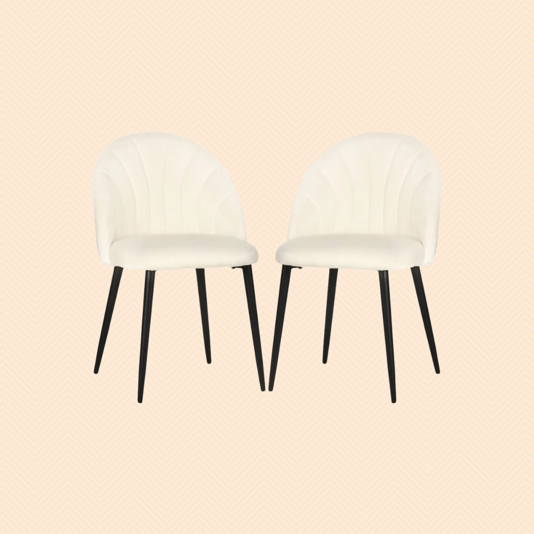 2er Set Esszimmerstühle Samtoptik – Muschel Design Creme | Metallbeine