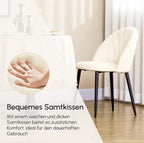 2er Set Esszimmerstühle Samtoptik – Muschel Design Creme | Metallbeine