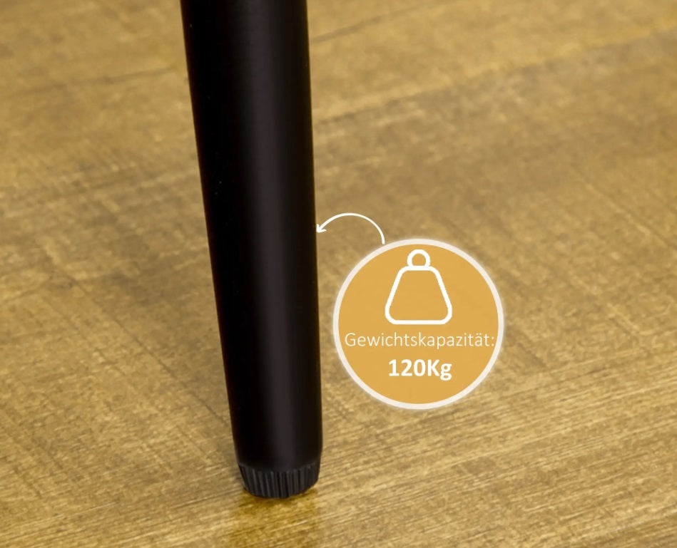 2er Set Esszimmerstühle Samtoptik – Muschel Design Creme | Metallbeine