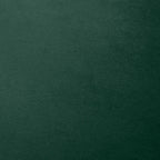 2er Set Esszimmerstühle Grün Samtoptik – Akzentstühle im Muschel-Design Retro