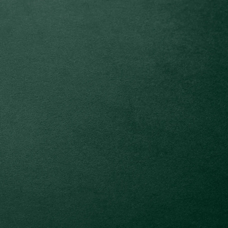 2er Set Esszimmerstühle Grün Samtoptik – Akzentstühle im Muschel-Design Retro